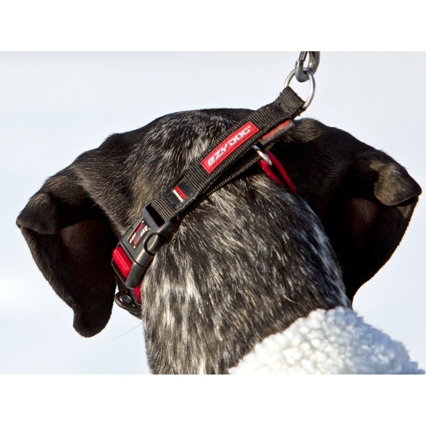 Ezy collar clearance